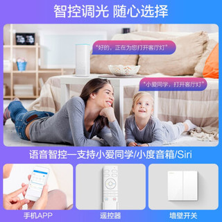 OPPLE 欧普照明 LED吸顶灯客厅灯 时尚北欧简约超薄客厅卧室餐厅灯具灯饰套餐 智能音箱/AI智控调光 冰玉2