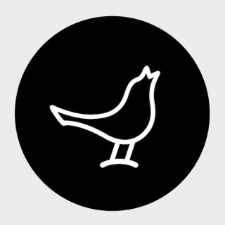 LIBRATONE/小鸟音响