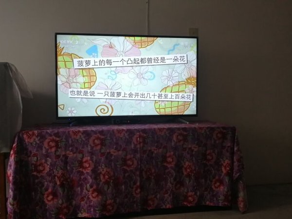 画质清晰,功能齐全,和数字电视机顶盒完美