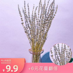 花点时间 定制花束 鲜花速递 生活鲜花 薰衣草1扎-约50g-2月26日起陆续发货 发货后预计1-3天可收花