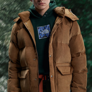 THE NORTH FACE 北面 男子户外羽绒衣 4WAZ-173 棕色 L