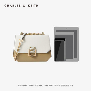 CHARLES＆KEITH2021春季CK2-80270480女士时尚链条翻盖单肩包 Multi综合色 M