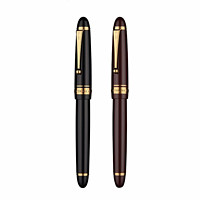 88VIP：PILOT 百乐 FKK-3000R Custom贵客 743系列 钢笔 14K SF尖