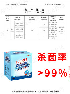 LARGE洗衣机槽清洁剂泡腾片家用滚筒波轮去污渍杀菌消毒块清洗剂 标准装1盒（12块）