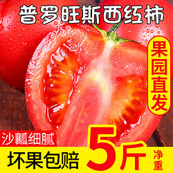 云南露天西红柿5斤新鲜蔬菜番茄水果普罗旺斯大番茄可即食可煮食