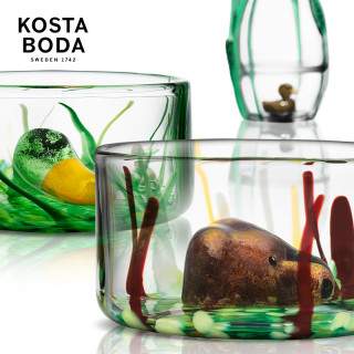 KOSTA BODA New Friends系列 碗