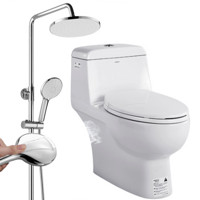  箭牌 ARROW 卫浴套装 AE1024马桶+增压花洒