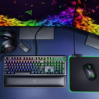 RAZER 雷蛇 黑寡妇蜘蛛精英版 104键 有线机械键盘 黑色 雷蛇绿轴 混光