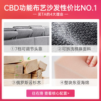 CBD布艺沙发组合简约现代客厅中小户型家具北欧轻奢可拆洗 D029SF D588深灰3+1+左贵妃