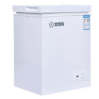 香雪海 单温柜 40S108L 小冷柜 冰柜家用 母乳节能迷你小型冰柜
