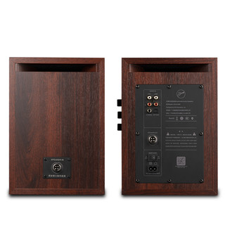 HiVi 惠威 D1090 2.0声道 客厅 Hi-Fi音箱