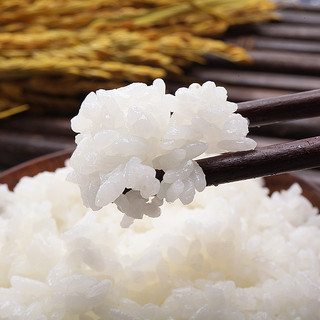 友吉源 秋田小町 东北大米 500g*10包