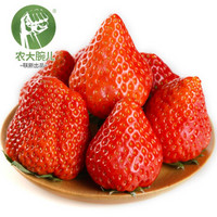 农大腕儿 丹东99草莓  净重2.8斤（35-40个果）