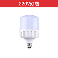 新观点    LED灯泡    7W*2