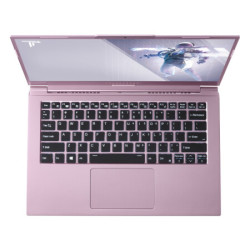 ThundeRobot 雷神 911MixBook Air 14英寸笔记本电脑(i7-10510U、16GB、1TB SSD、100%sRGB)烟熏粉