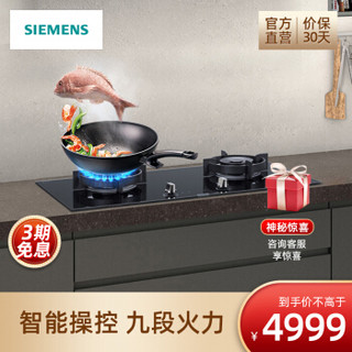 西门子（SIEMENS）双眼嵌入式燃气灶 5.0kW大火力 九段精控 天然气 ER9SM231MP