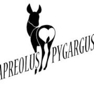 Capreolus pygargus