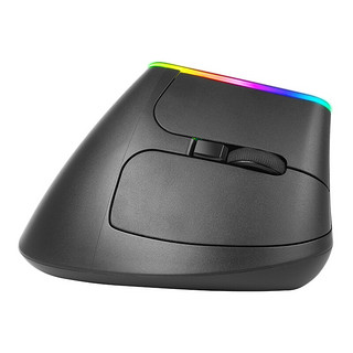 DeLUX 多彩 M618D 2.4G无线鼠标 1600DPI RGB 黑色