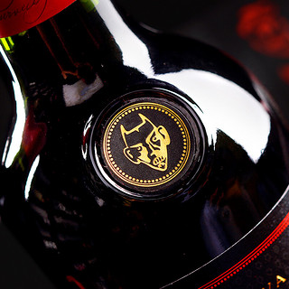 Casillero del Diablo 红魔鬼 黑金珍藏 中央山谷干型红葡萄酒 6瓶*750ml套装