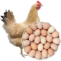 京东PLUS会员：壹豫百味 新鲜农家散养土鸡蛋  20枚 *2件