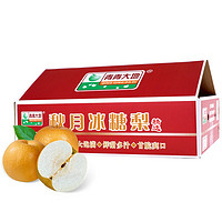 京觅 青青大地莱阳羊脂秋月梨4.5斤 6-9个梨子礼盒 水果