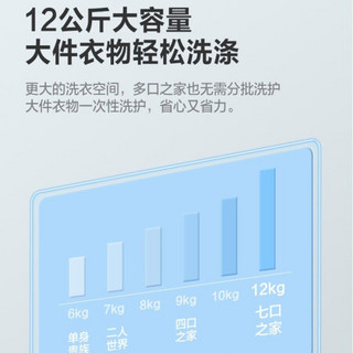 美的(Midea)321升法式多门双变频风冷无霜冰箱BCD-321WFPM(E)+12KG喷淋洗涤滚筒洗衣机MG120VJ31DS3