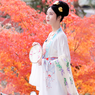 衔泥小筑 汉服 盛唐流芳系列 八宝流光 女士对襟上衫 白色 S