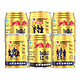 88VIP：Red Bull 红牛 安奈吉功能饮料 250ml*6罐 *5件