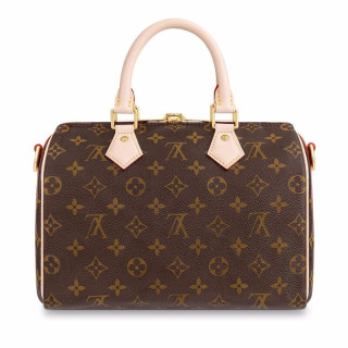 LOUIS VUITTON 路易威登 SPEEDY 25系列 女士手提包 M41113