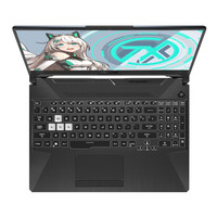 ASUS 华硕 天选 FA506 15.6英寸 游戏本 钛空灰 (锐龙R7-4800H、RTX 2060 6G、16GB、512GB SSD、1080P、IPS、144Hz)