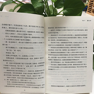 《百年百部中国儿童文学经典书系·草房子》