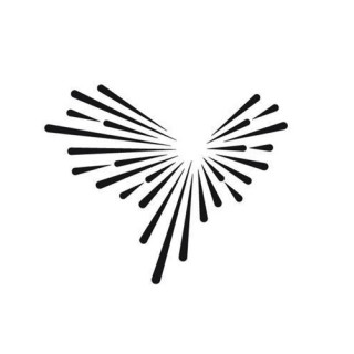 PEACEBIRD/太平鸟