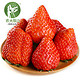 京东PLUS会员：农大腕儿 丹东99草莓  净重2.8斤（35-40个果）大果