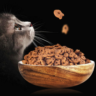 PET FOOD 美滋元 三文鱼成猫猫粮 2.5kg