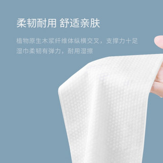 开丽 卫生湿巾 一次性便携 不含酒精卫生清洁家用外出 8片*20包