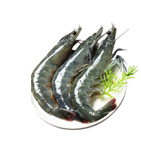 XYXT 虾有虾途 新鲜青岛大虾 单只13-14厘米 2kg