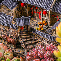 中式禅意摆件复古房子模型客厅茶几家居装饰品微景观文竹盆栽摆设