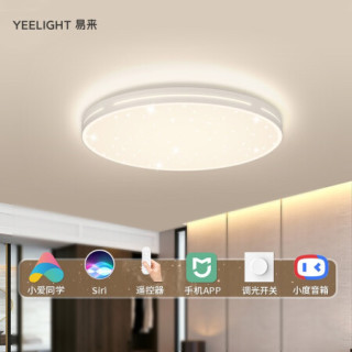 Yeelight易来 纤玉智能LED吸顶灯 满天星卧室吸顶灯具 小米小爱语音调光 集成吊顶灯绮境星空A2003C420-A*
