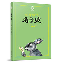 《夏洛书屋·兔子坡 第五辑》（美绘版、精装、第48册）