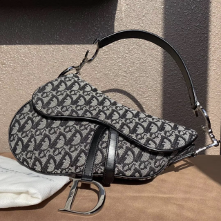 DIOR 迪奥 女士单肩包 M0446CTZQ