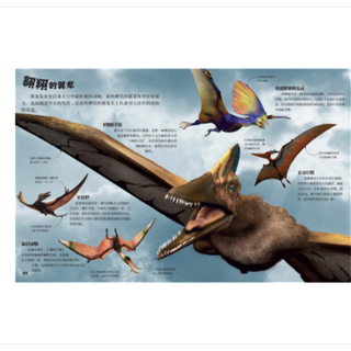 《DK生物大揭秘》（精装、套装共7册）