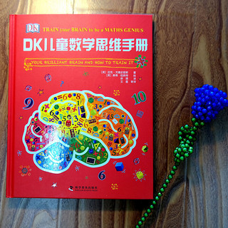 《DK儿童数学思维手册》（精装）