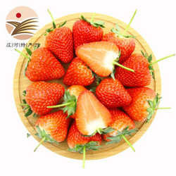 丹东99红颜草莓大草莓新鲜水果 现摘现发 草莓-3斤实惠装