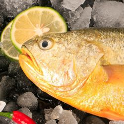 星仔岛黄花鱼500g