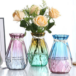质优家 欧式创意玻璃花瓶