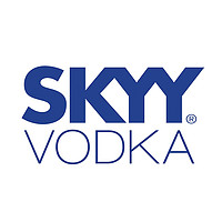 深蓝 SKYY