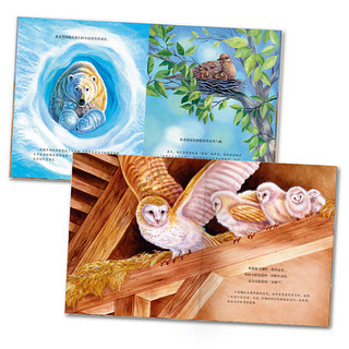 《海豚绘本花园：小小自然科学家系列》（套装共6册）