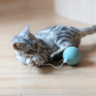 PIDAN 彼诞 PD3701W1 猫玩具 电动不倒翁气球 蓝色