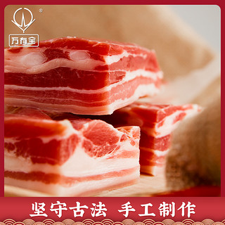 万有全咸肉五花肉上海南风肉腊肉腌肉腌笃鲜老字号特产咸猪肉450g