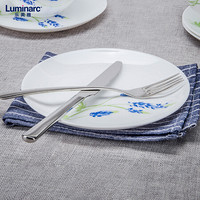 乐美雅（Luminarc）家用耐高温白玉玻璃钢化玻璃微波炉可用欧式盘深盘 迪瓦丽塞纳蓝21cm平盘 两只装